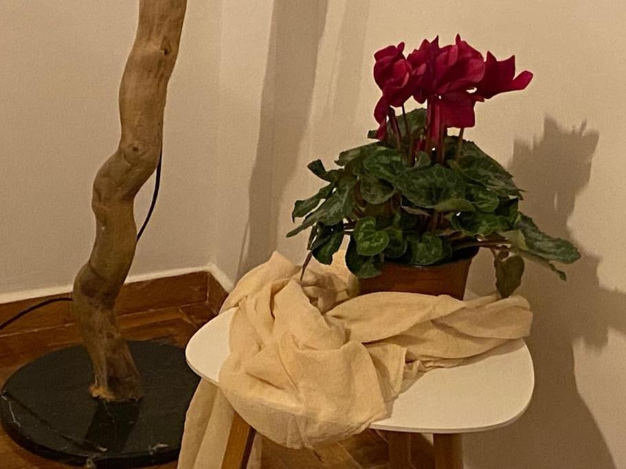 Cozy And Comfortable Apartment In Athens Center Eksteriør bilde